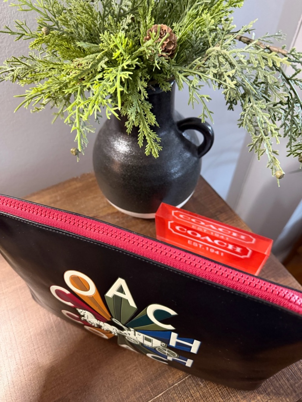 Coach Rainbow Horse and Carriage Large Pouch (NWT) - Picture 3 of 11